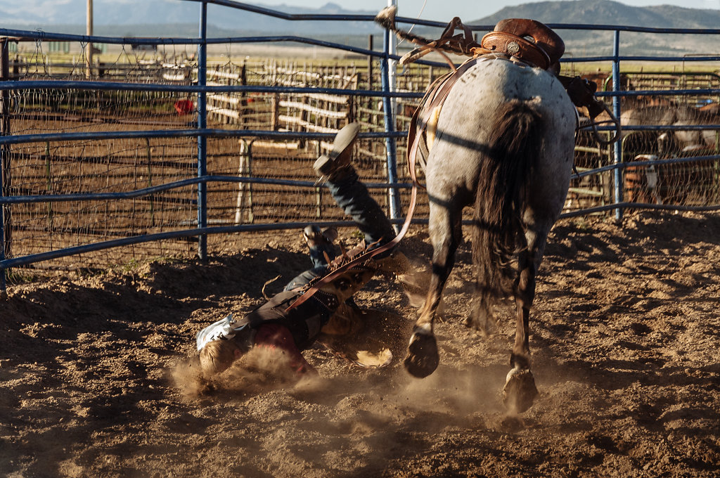 Rodeo-2011-7.jpg